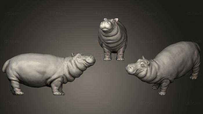 3D model Gold Hippo (STL)